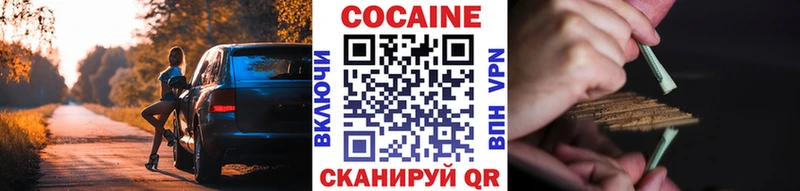 Cocaine Fish Scale  площадка Telegram  Холмск  где можно купить  